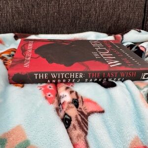 The Witcher: The Last Wish Book by Andrzej Sapkowski - Red Cover